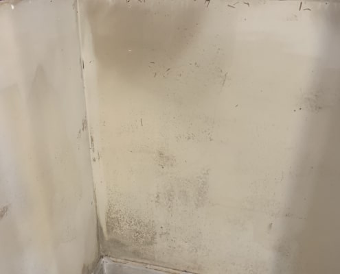 mold in kitchen