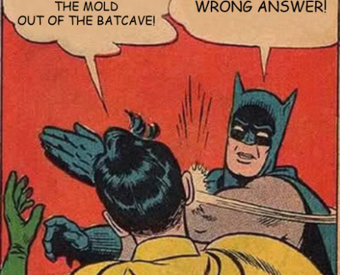 Mold and HVAC Ductwork image