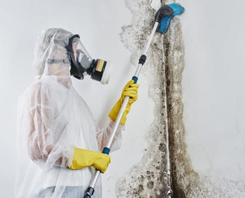 cleaning mold
