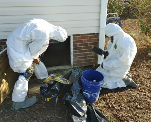 Crawl Space Cleaning Prep