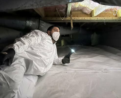 Moisture Damaged Space In Need of a Mold Inspection