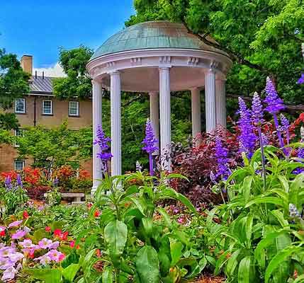 mold removal Chapel Hill