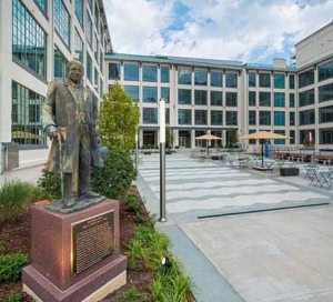 mold removal Wake Forest