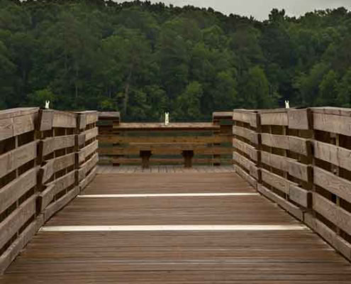 mold removal Holly Springs