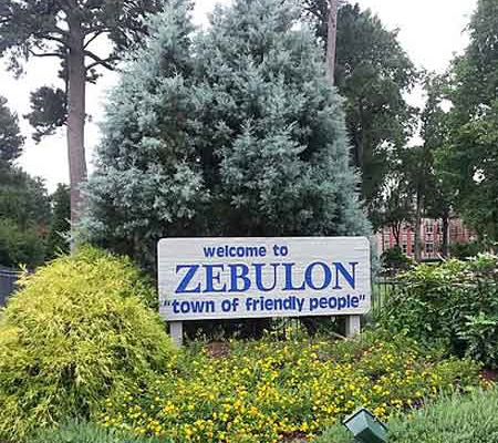 mold removal Zebulon