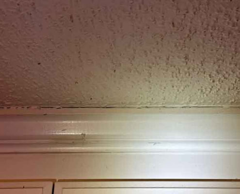 ceiling crack found during inspection