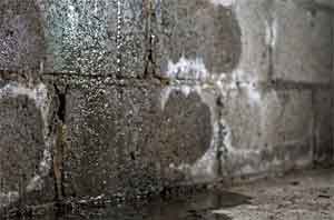 wet basement walls