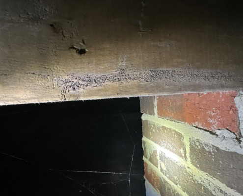 crawlspace mold in Wake Forest
