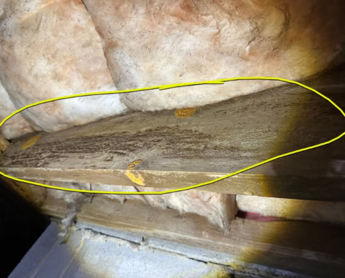 Mold remediation in Apex, NC - before and after