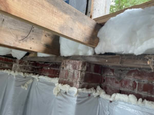 mold removal project in Angier