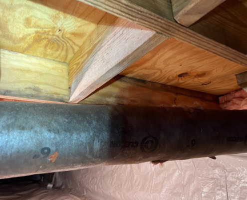 removed mold