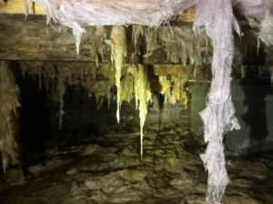 untreated crawl space in Angier