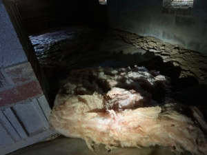 untreated crawlspace in Cary