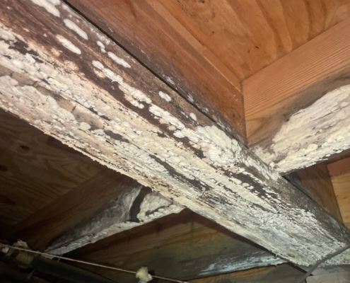 wood-rot-goldsboro