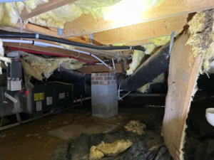 untreated crawlspace in Raleigh with falling insulation and no vapor barrier