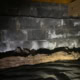 heavy moisture damage found during crawlspace inspection at Page Point Circle home in Durham