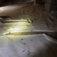 torn vapor barrier found during Ravensthorpe Dr crawlspace inspection in Fuquay