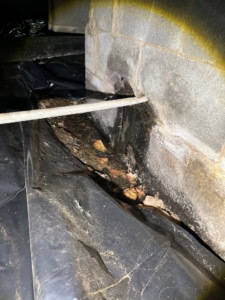old vapor barrier found during crawlspace inspection in Cary