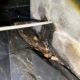 old separated vapor barrier in crawlspace on Ryan Rd in Cary found during inspection