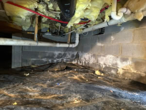 untreated crawlspace in Durham
