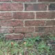 exterior stair-step cracking found along brickwork  during inspection in Apex