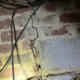 crumbling foundation wall in crawlspace in Apex